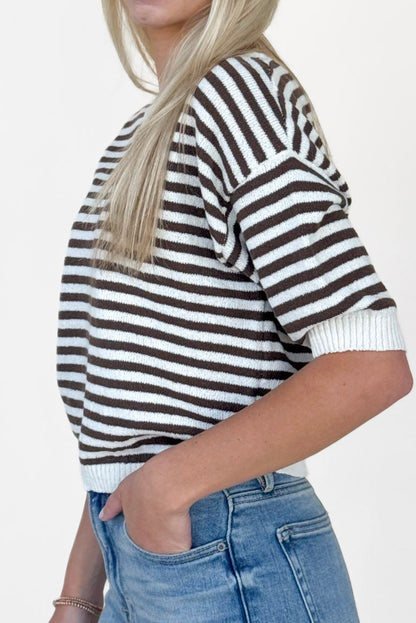 Ashley Stripe Short Sleeve Sweater