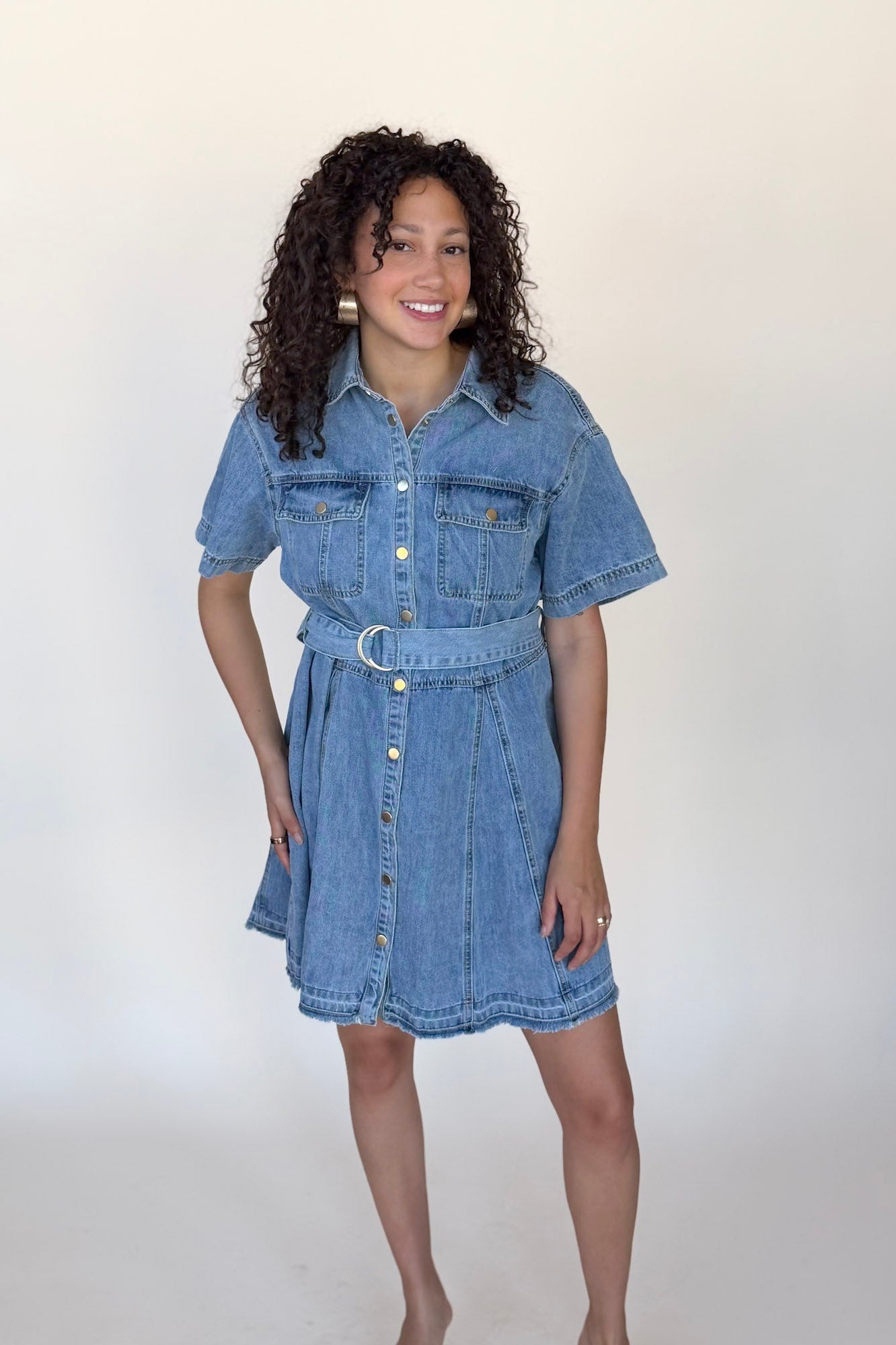 Dawson Denim Mini Dress