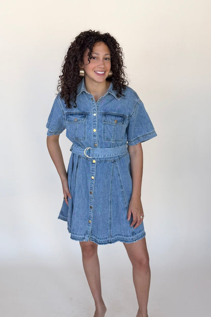 Dawson Denim Mini Dress