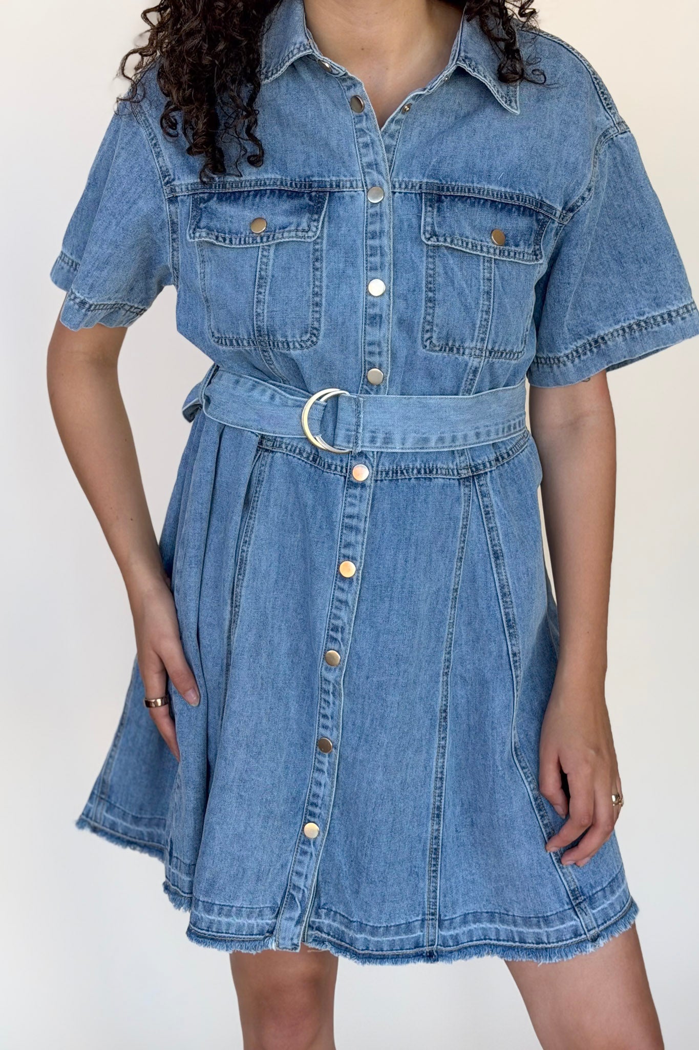 Dawson Denim Mini Dress
