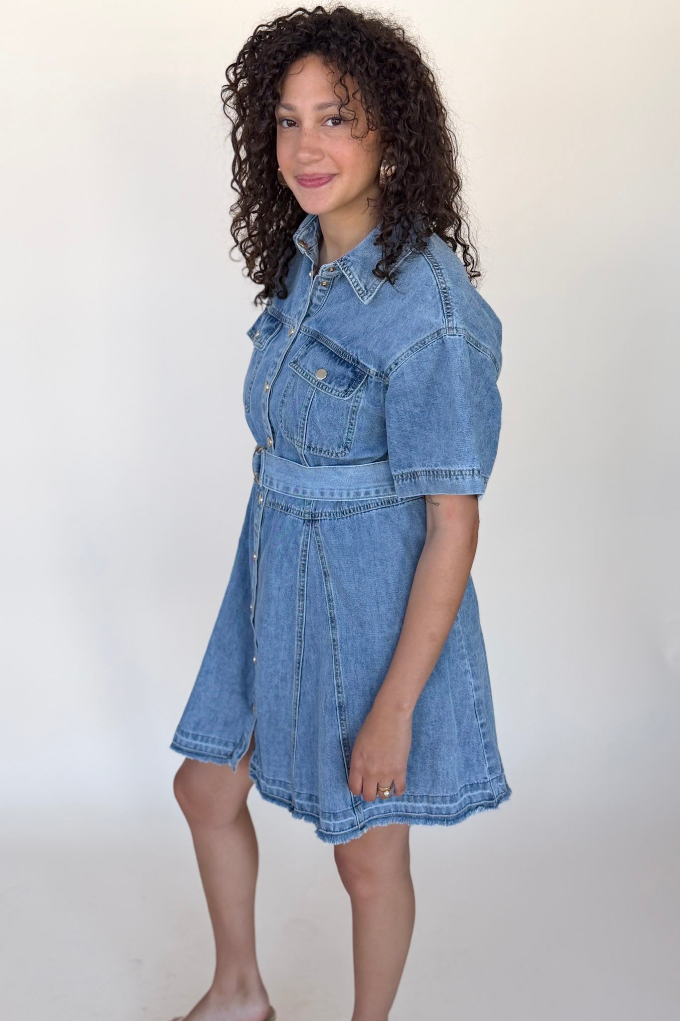 Dawson Denim Mini Dress
