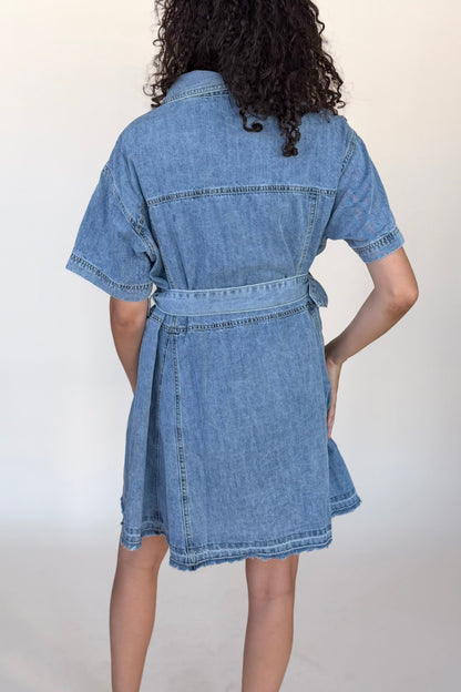 Dawson Denim Mini Dress