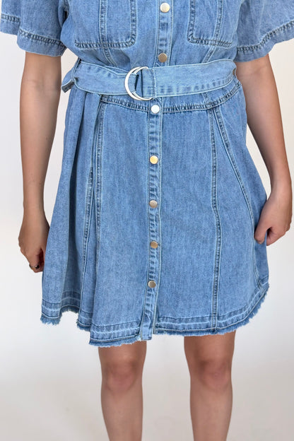 Dawson Denim Mini Dress