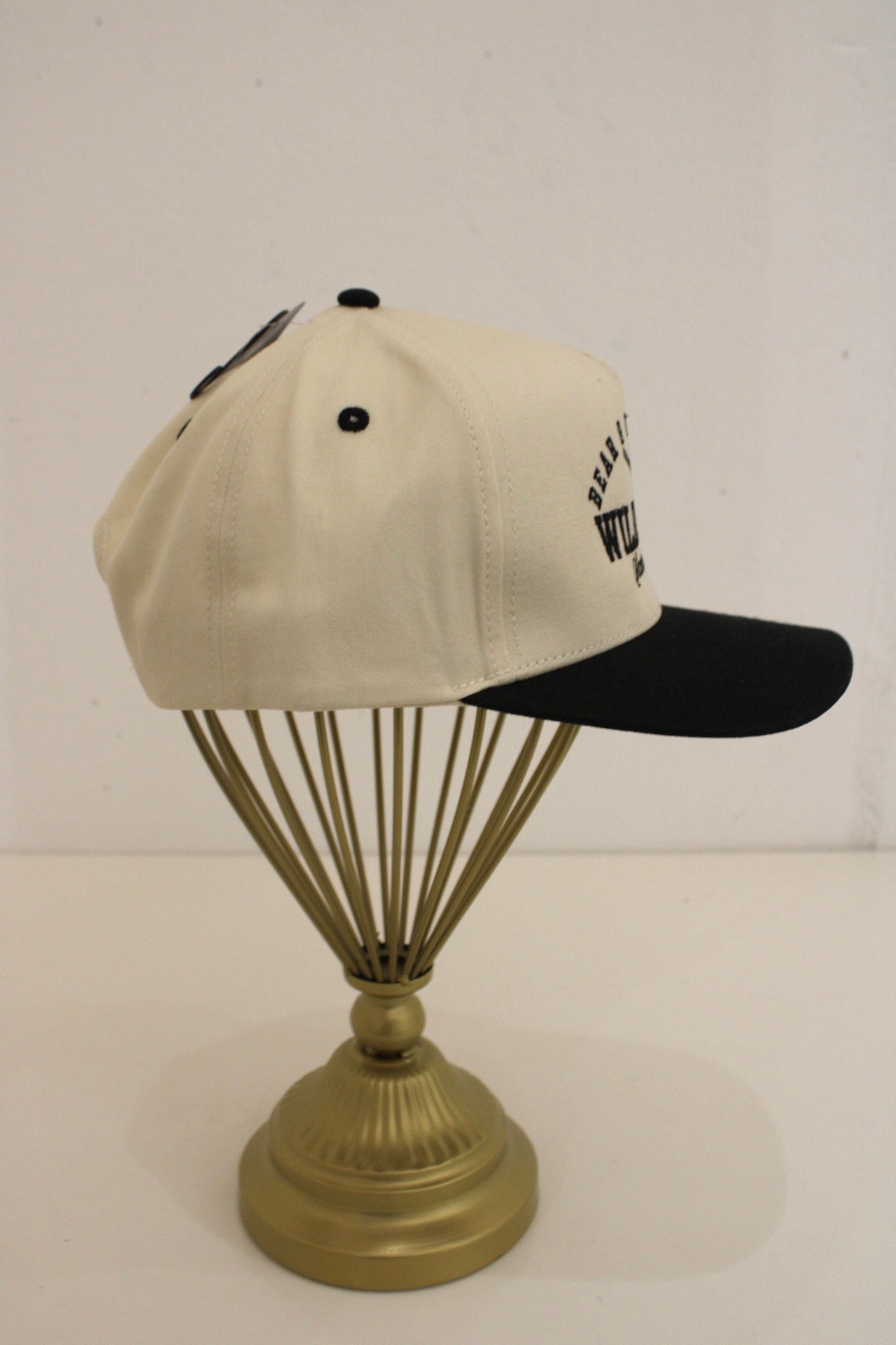 Wild Swing Social Club