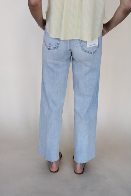 Hidden Classic dad Jean