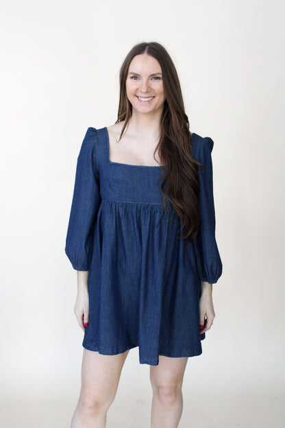 Brett Denim Dress
