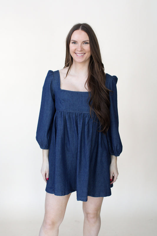 Brett Denim Dress