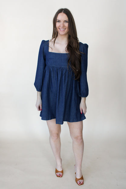 Brett Denim Dress
