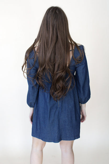 Brett Denim Dress